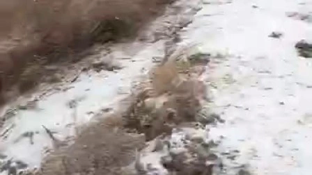 Sistema de bomba de agua con motor diésel silenciado